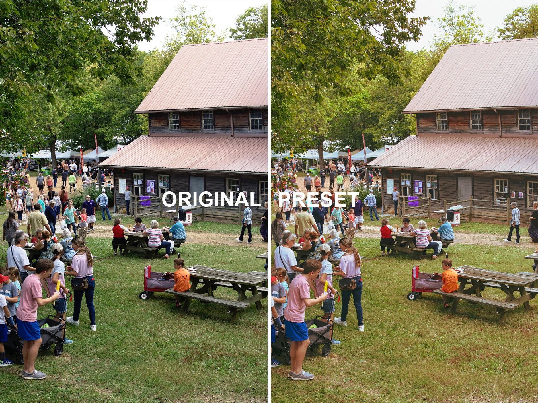 10 Vintage Green Lightroom Presets