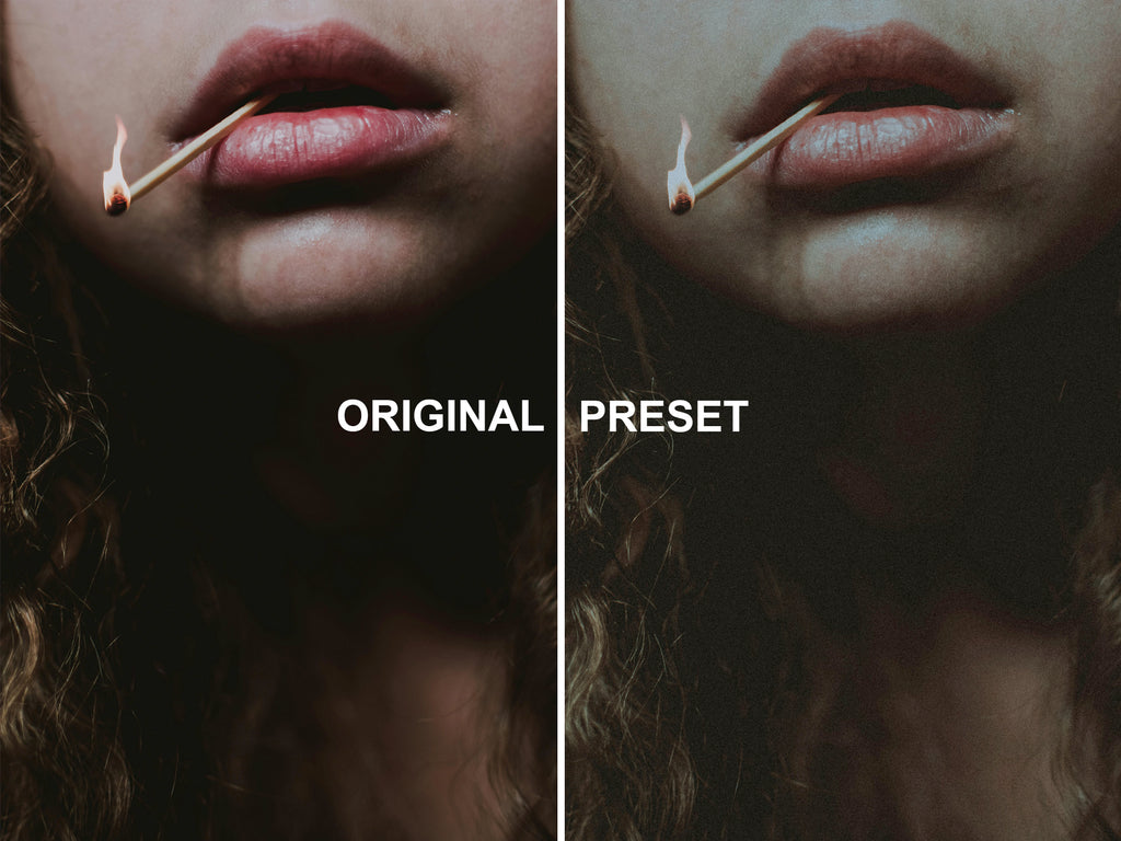 10 ZOO STATION Lightroom Presets