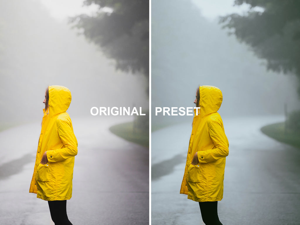 10 TWILIGHT - New Moon Lightroom Presets