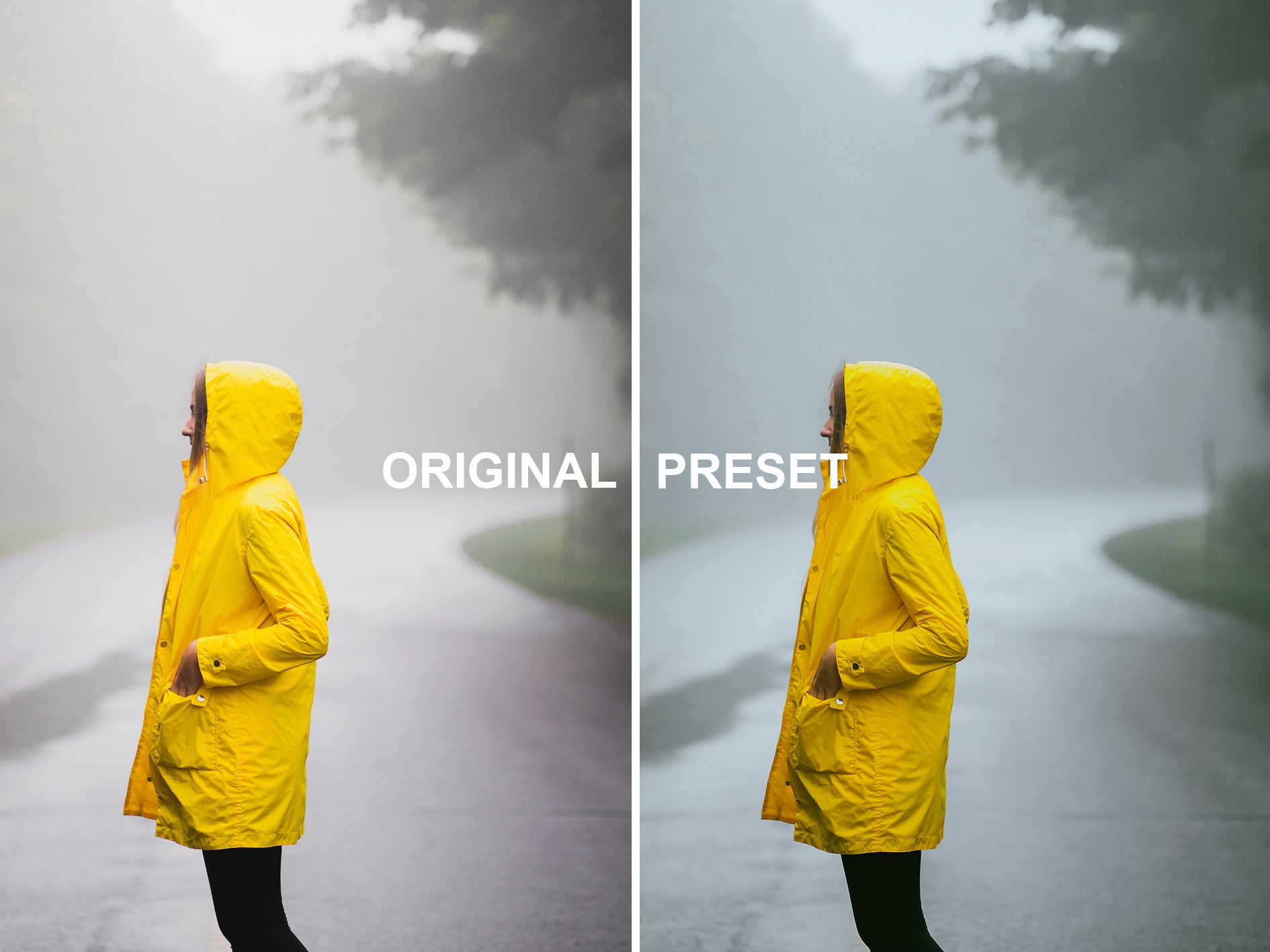 10 TWILIGHT - New Moon Lightroom Presets