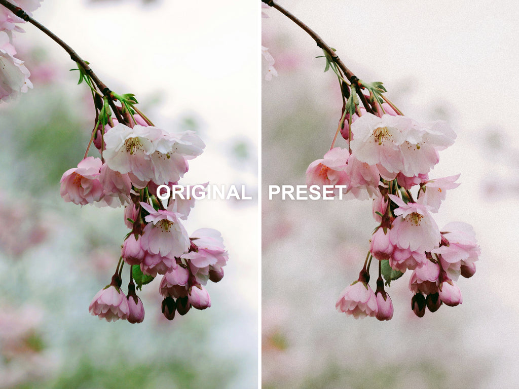10 DUSTY ROSE Lightroom Presets