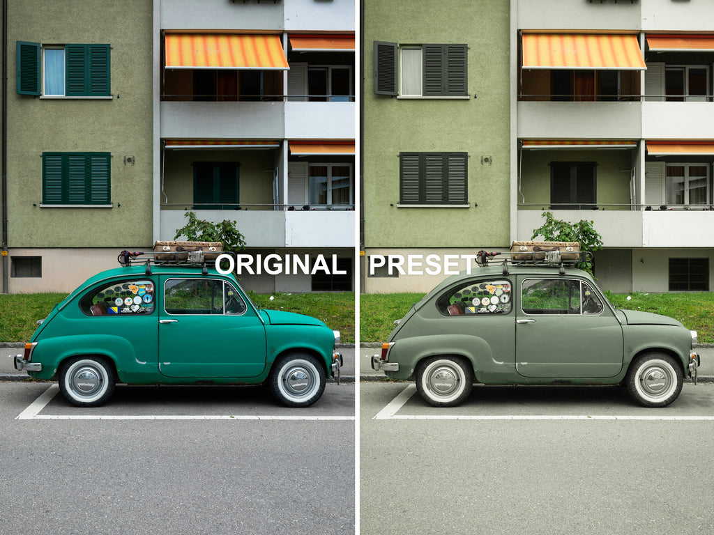 10 SAFARI Lightroom Presets