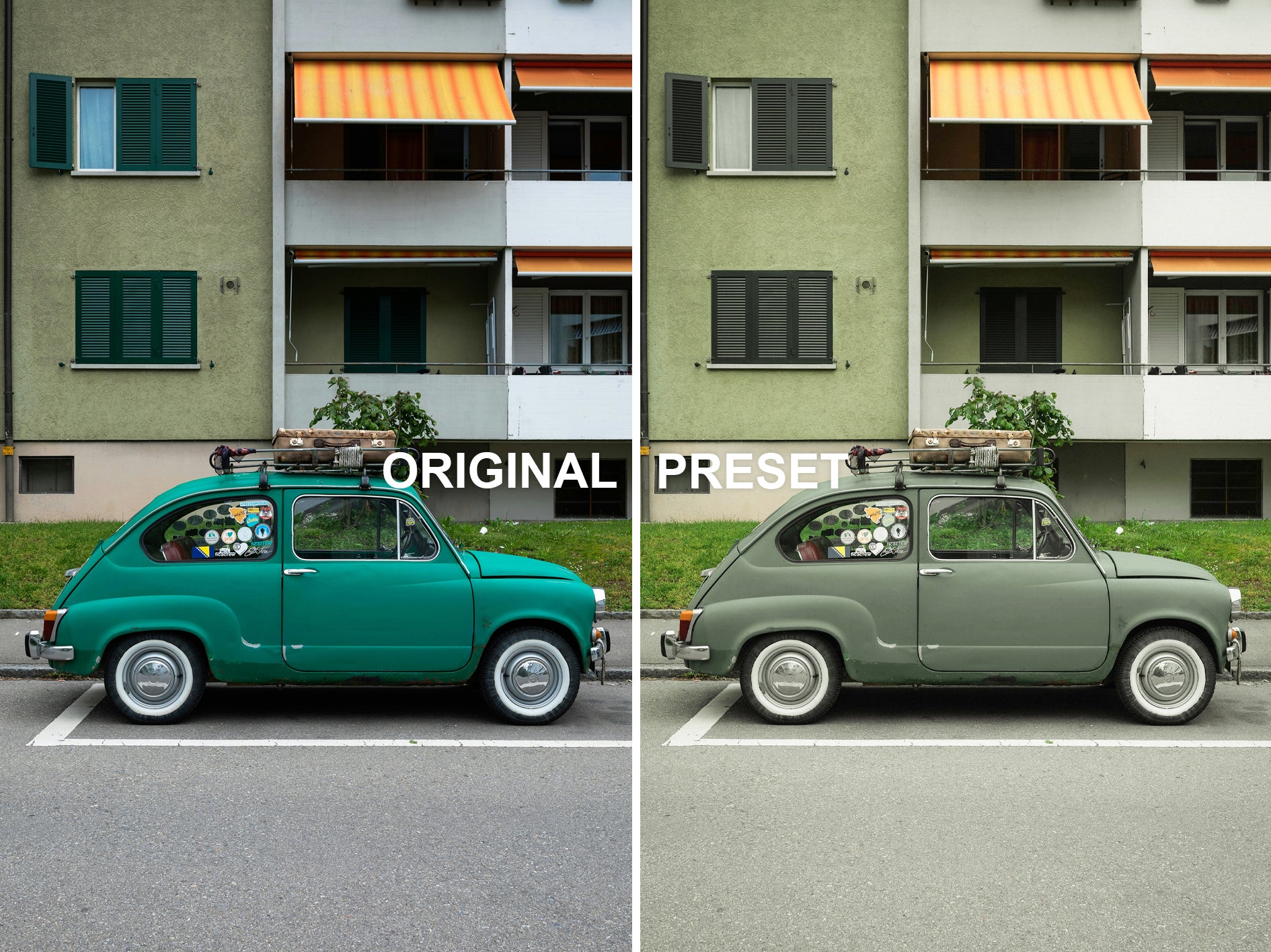 10 SAFARI Lightroom Presets