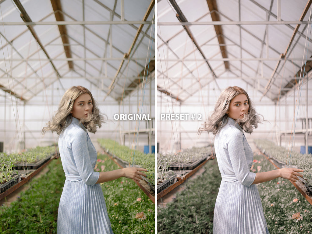 10 ROSE GOLD Lightroom Presets