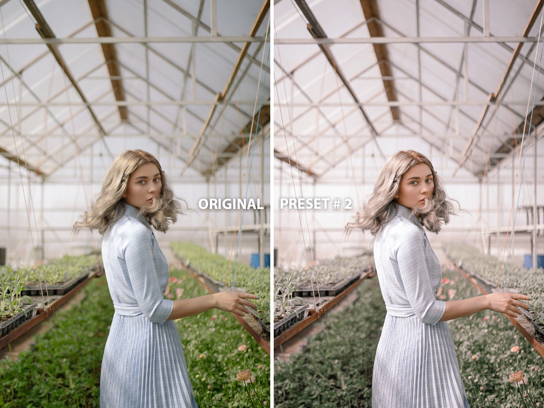 10 ROSE GOLD Lightroom Presets