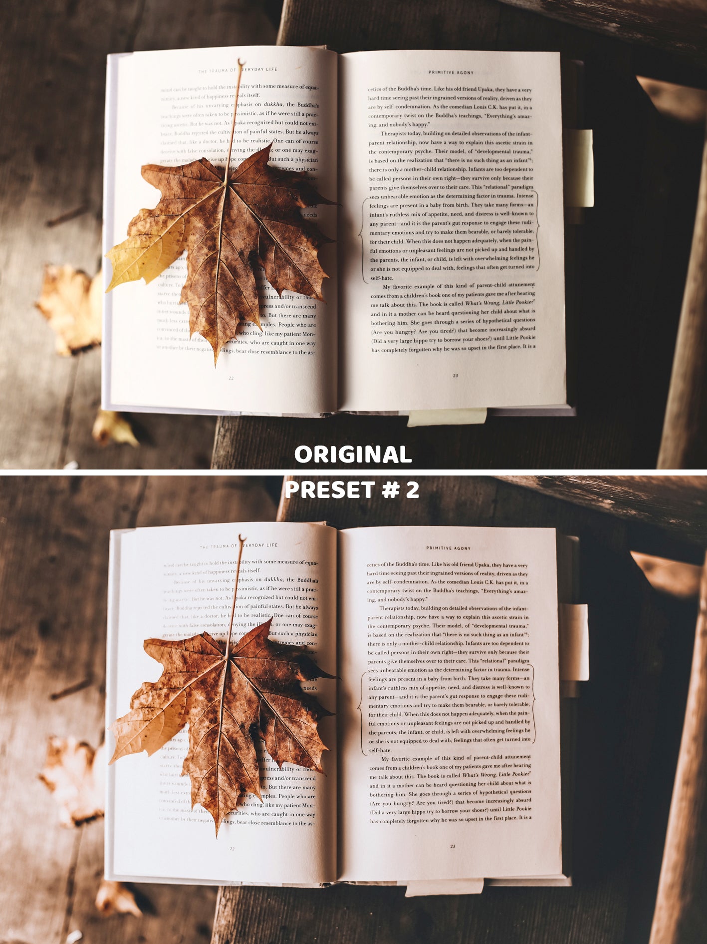 10 AUTUMN Lightroom Presets