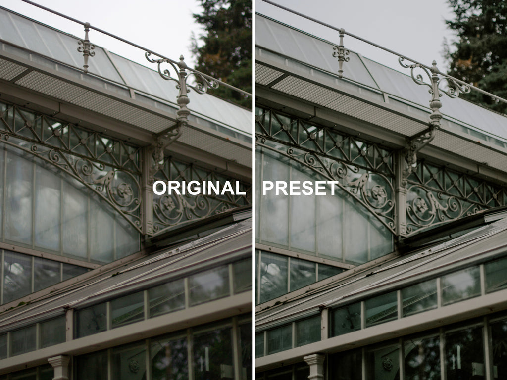 10 BOTANICAL Lightroom Presets