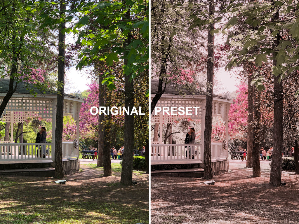 10 SPRING Lightroom Presets