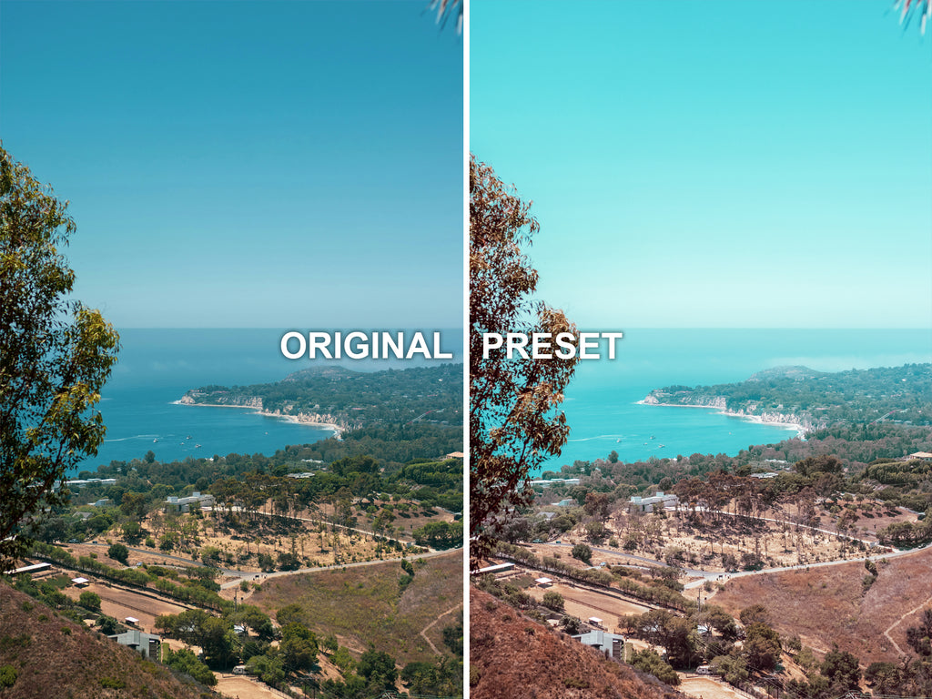 10 TROPICAL Lightroom Presets