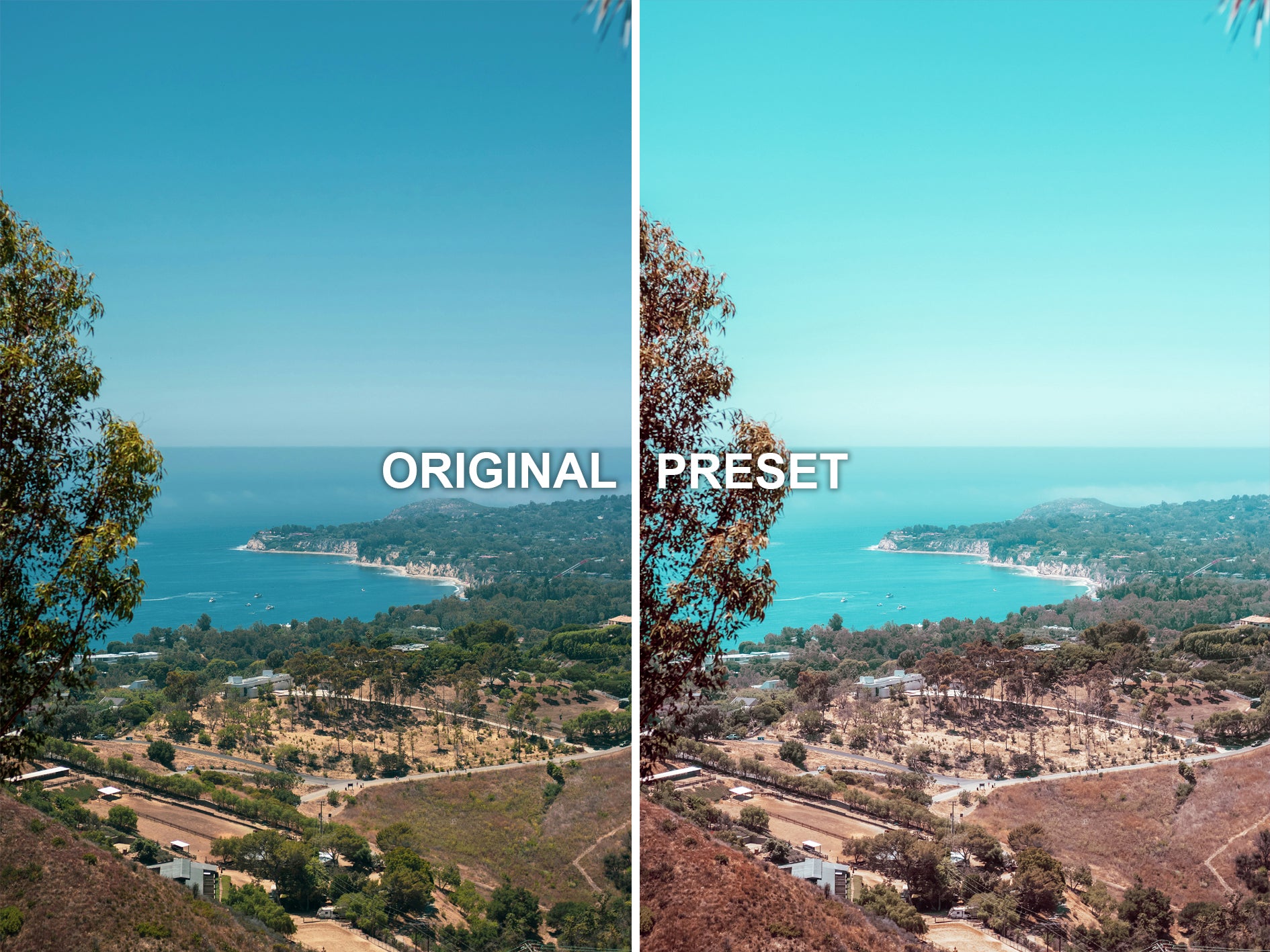 10 TROPICAL Lightroom Presets
