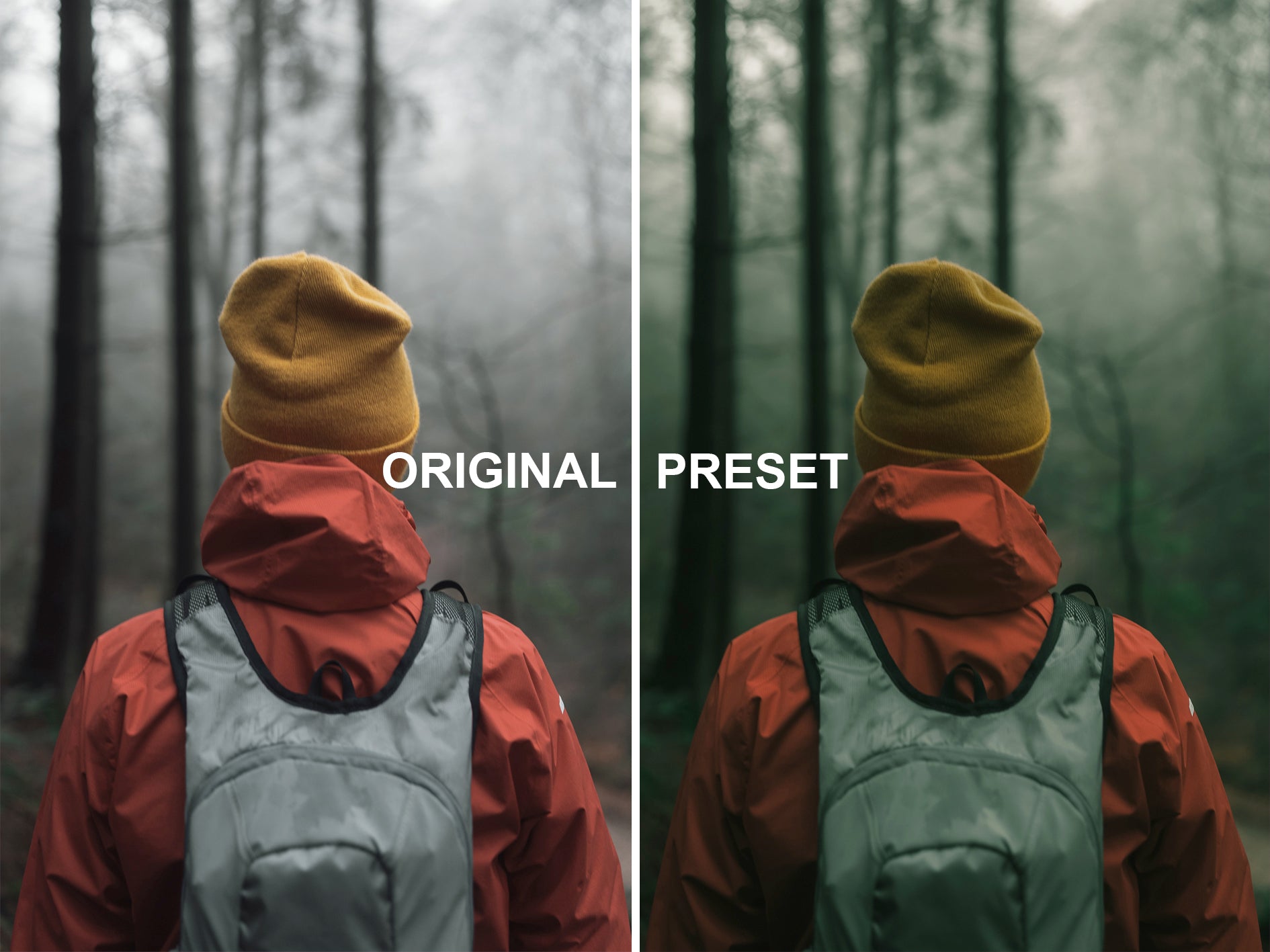 10 RAINFOREST Lightroom Presets