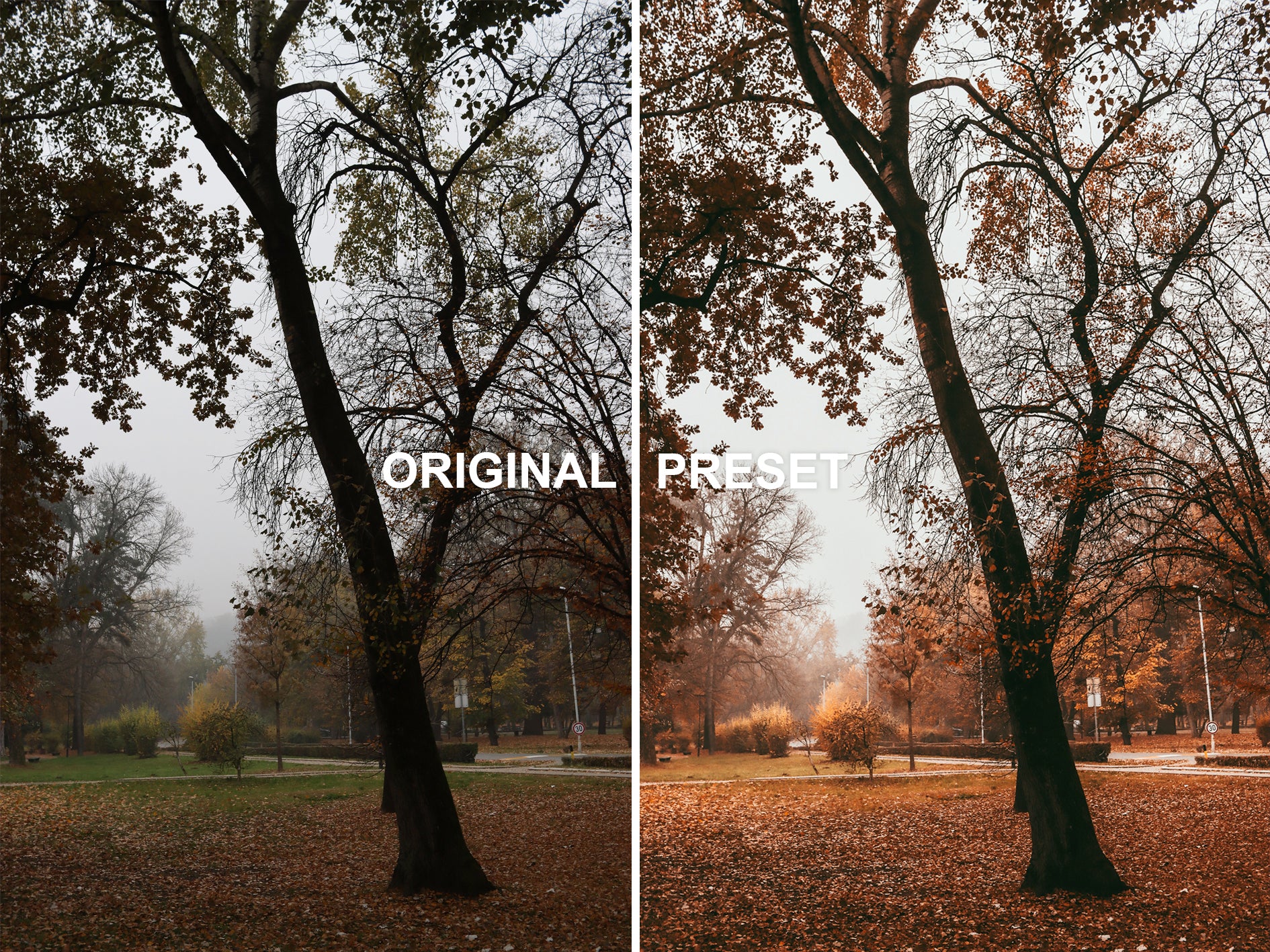 10 FALL Lightroom Presets