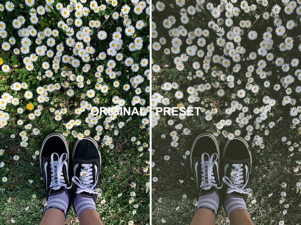 10 CLASSIC Lightroom Presets