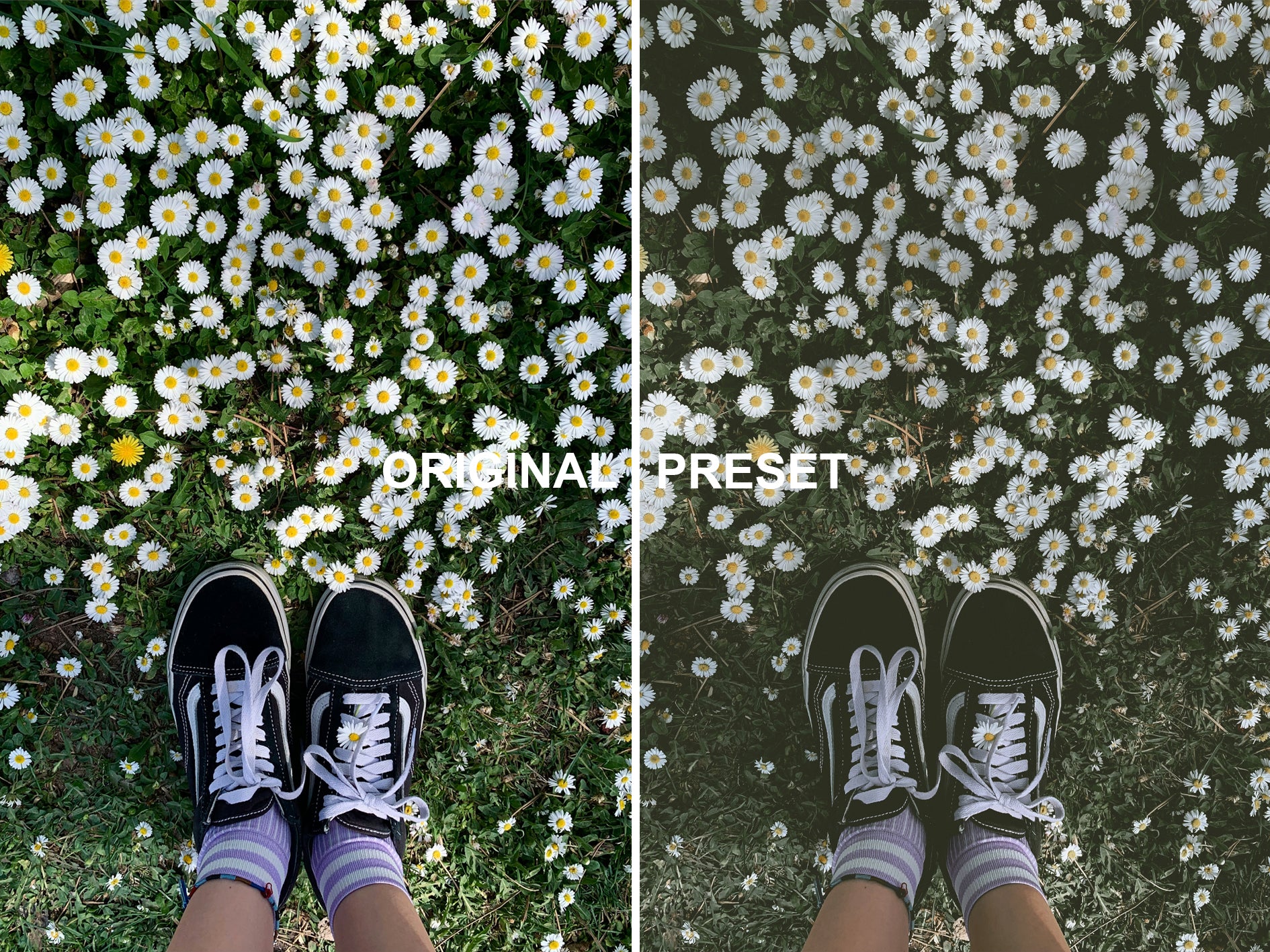 10 CLASSIC Lightroom Presets