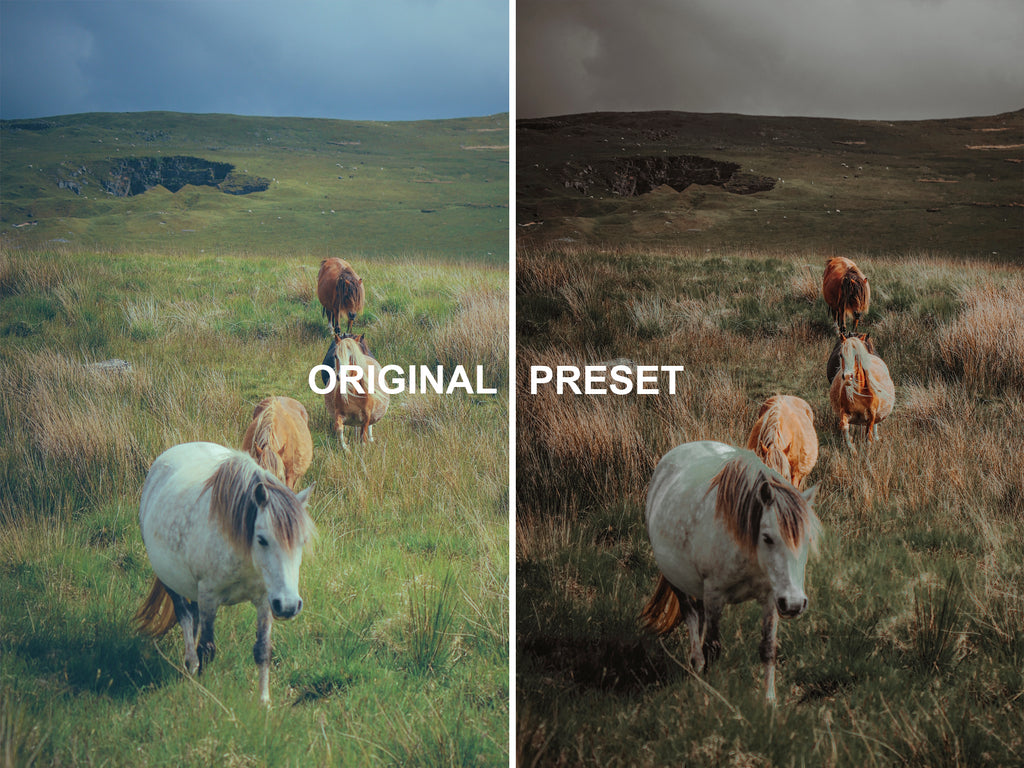 10 EARTHY Lightroom Presets