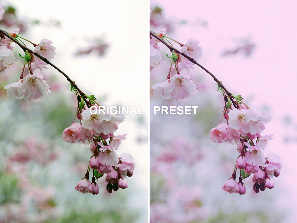 10 PURPLE HAZE Lightroom Presets