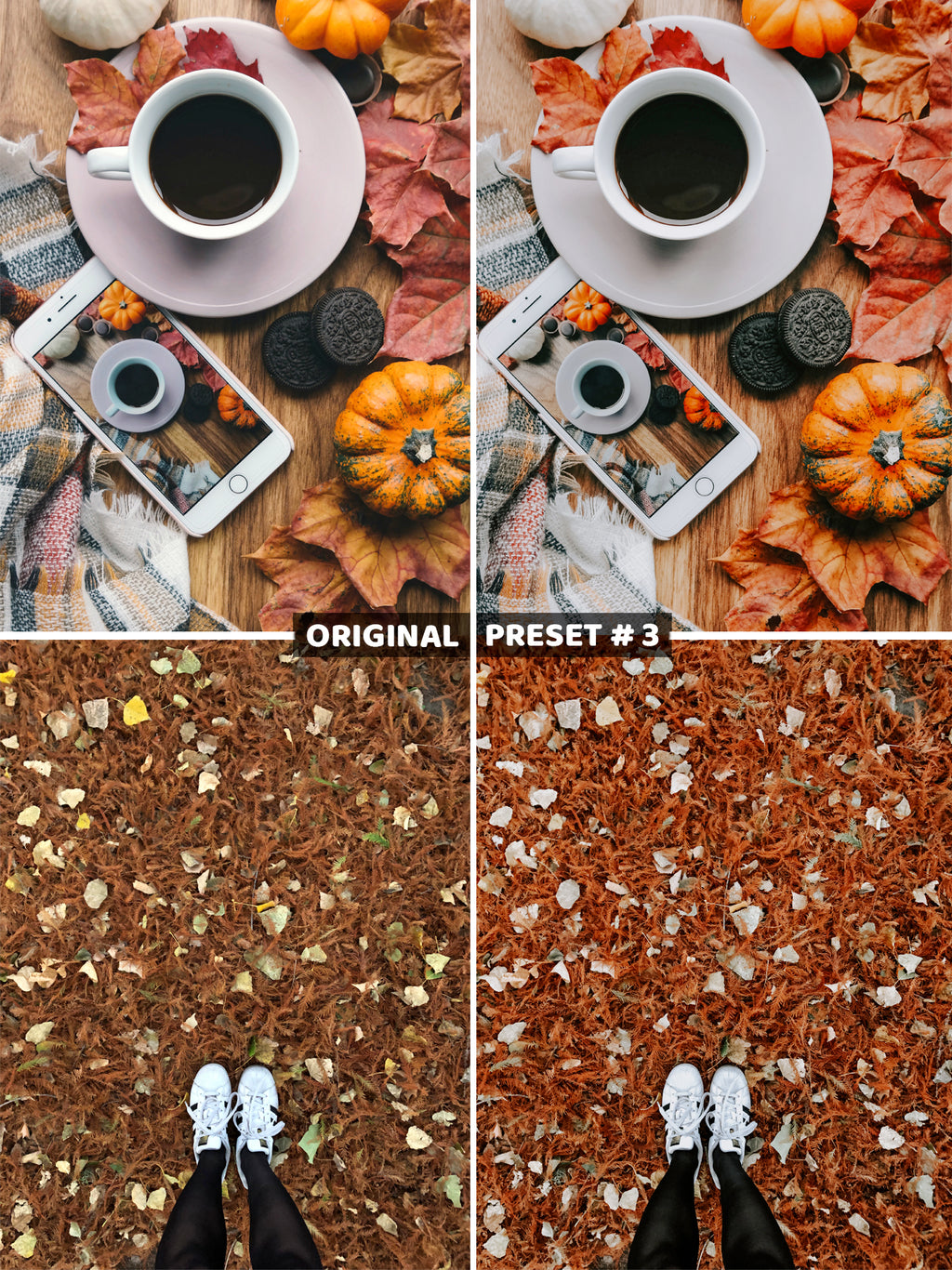 10 AUTUMN Lightroom Presets