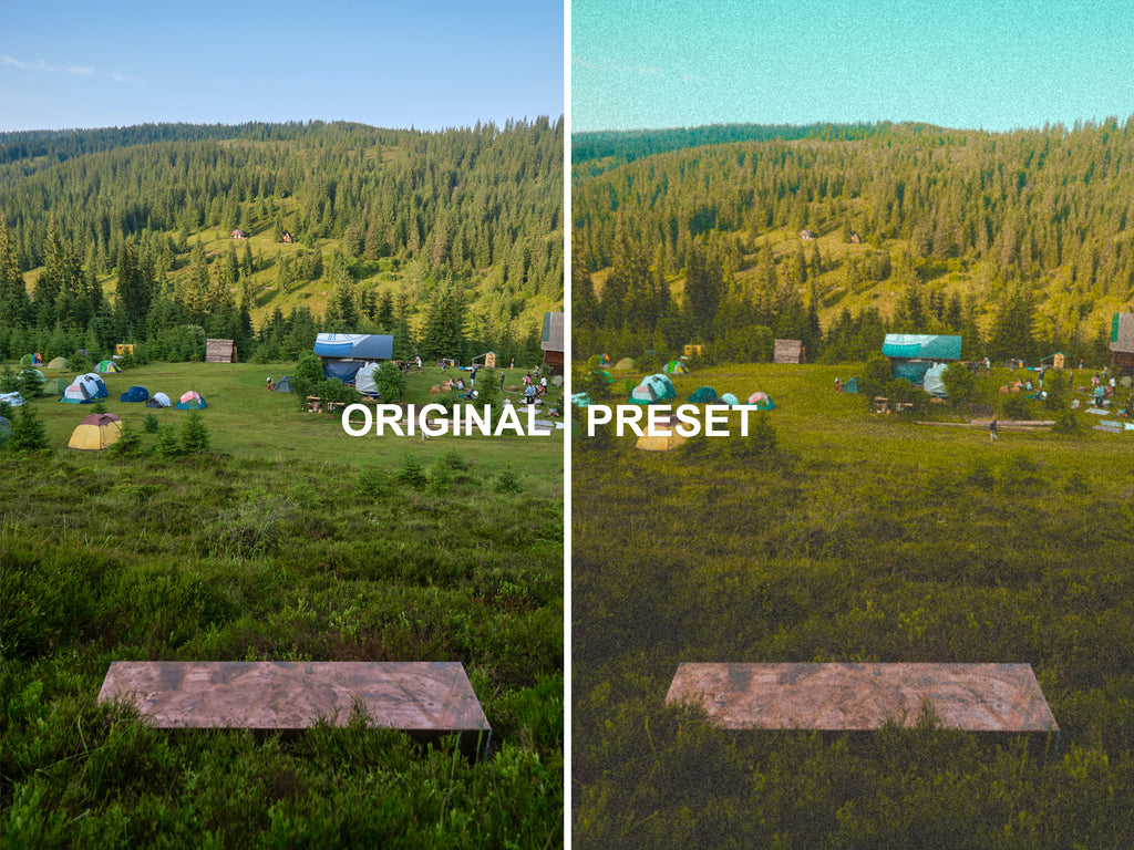 10 "1969" Lightroom Presets