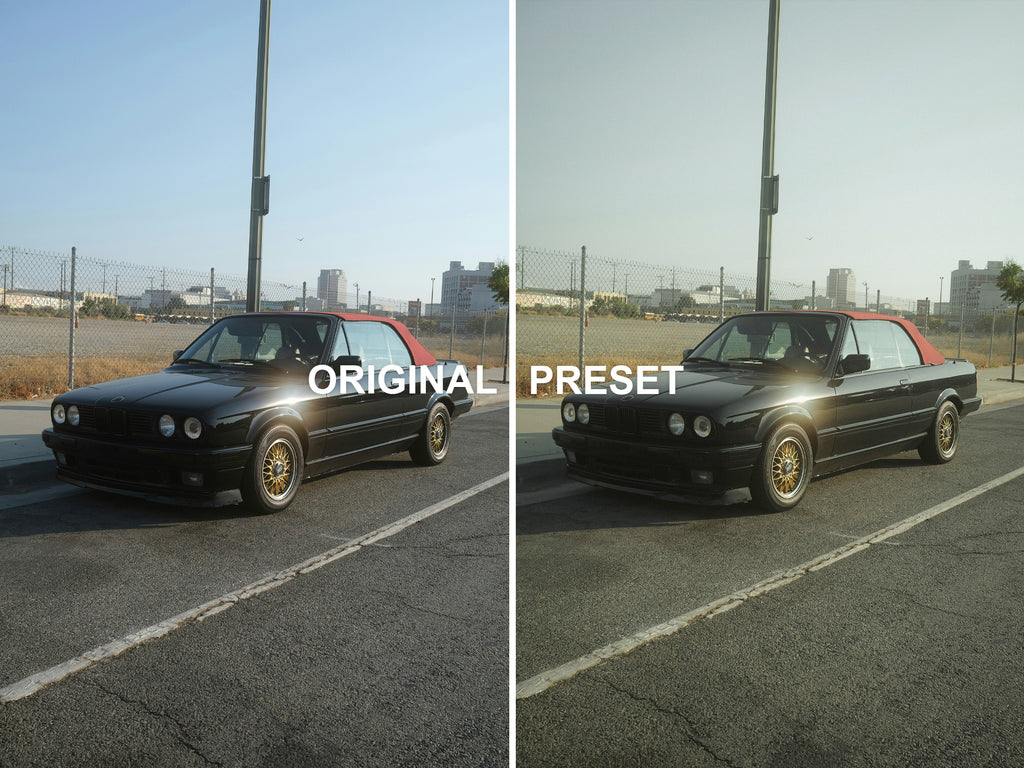 10 SAFARI Lightroom Presets