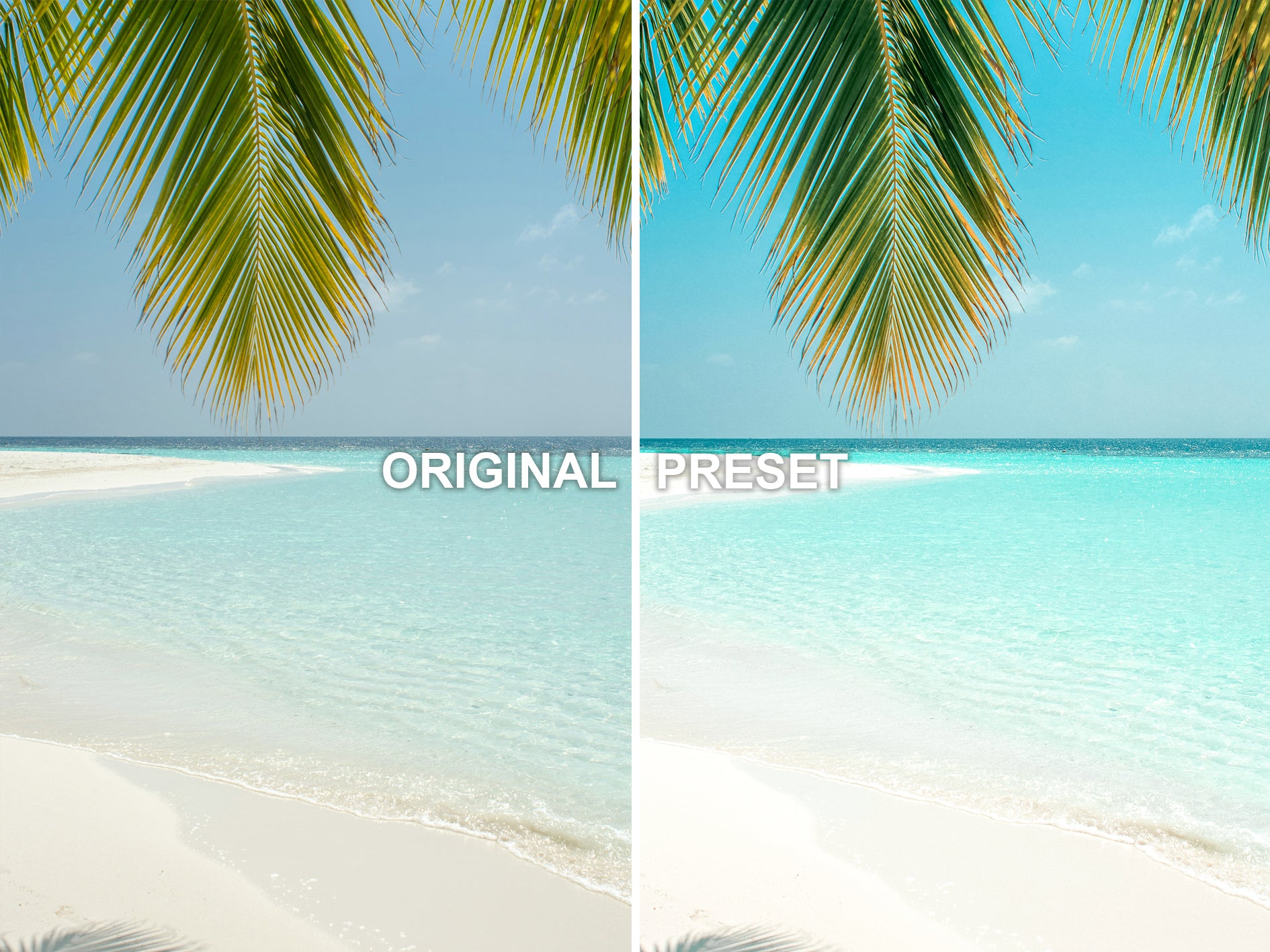 10 TROPICAL Lightroom Presets
