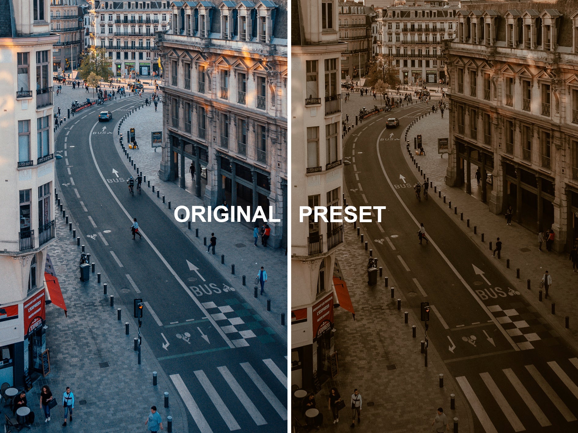 10 DARK ACADEMIA Lightroom Presets