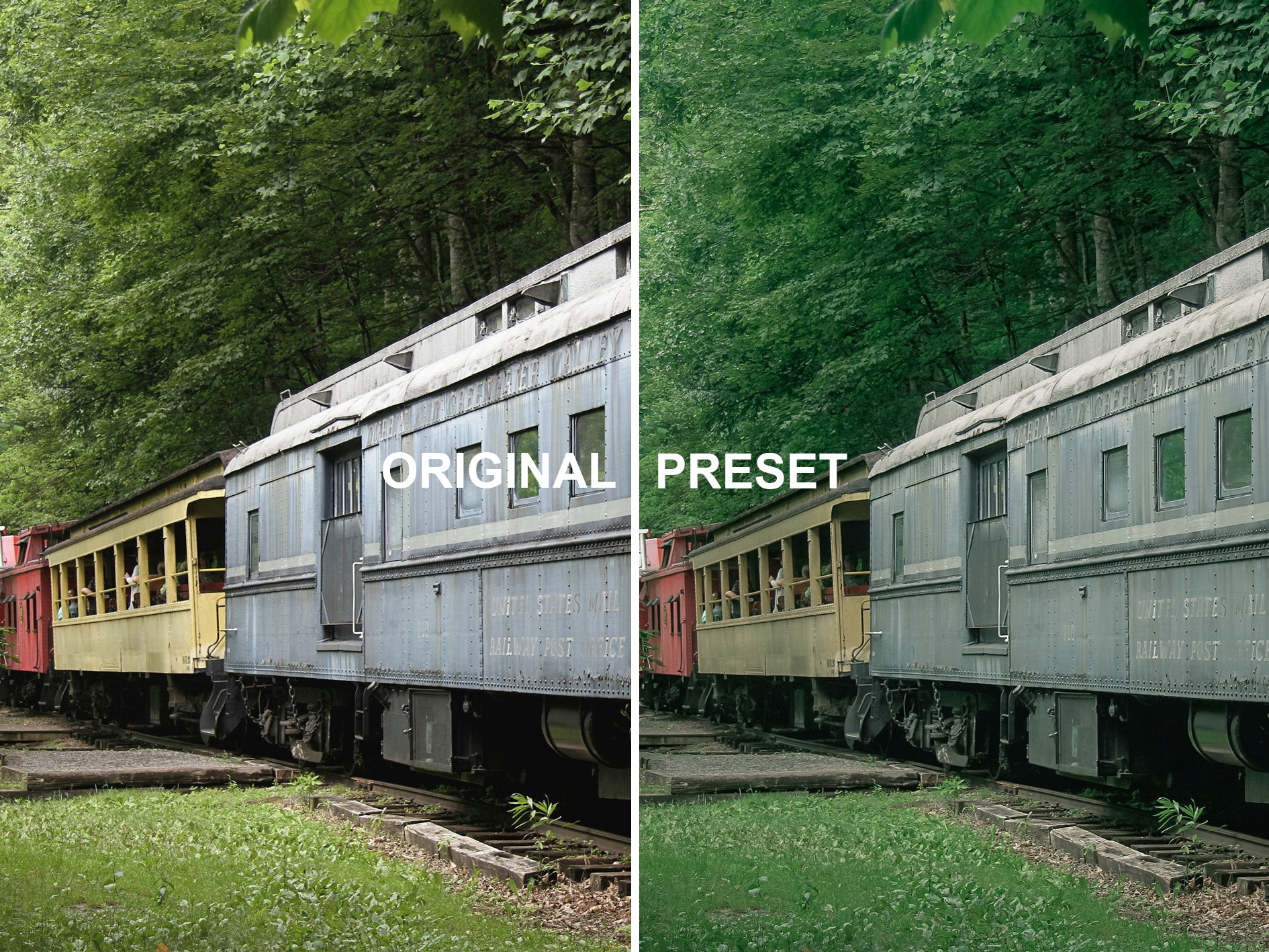 10 RAINFOREST Lightroom Presets