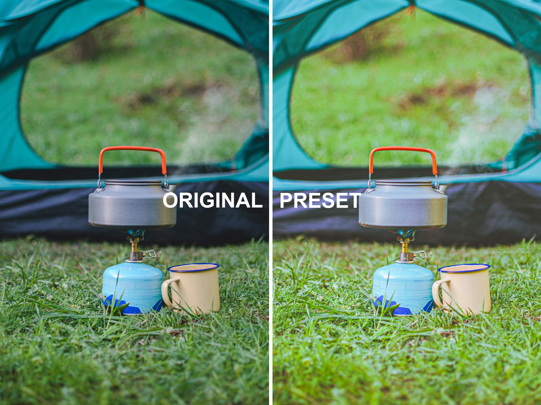 10 Vintage Green Lightroom Presets