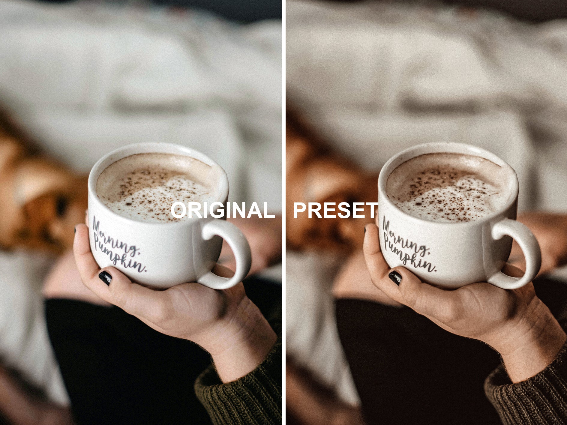 10 COZINESS Lightroom Presets