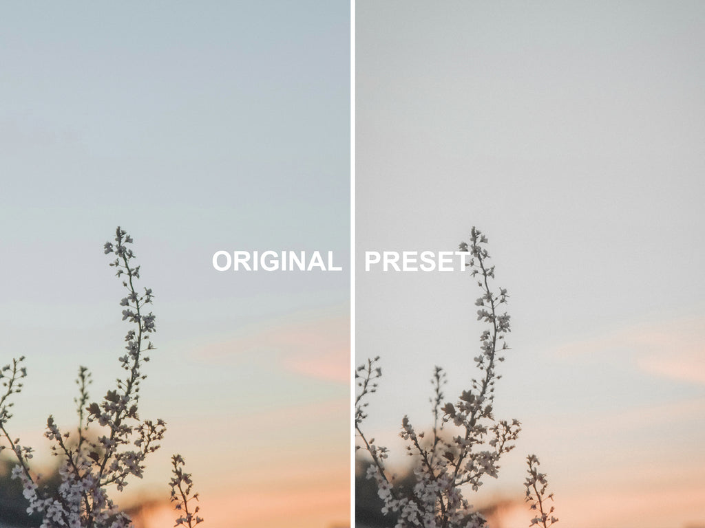 10 CREAM TAN Lightroom Presets