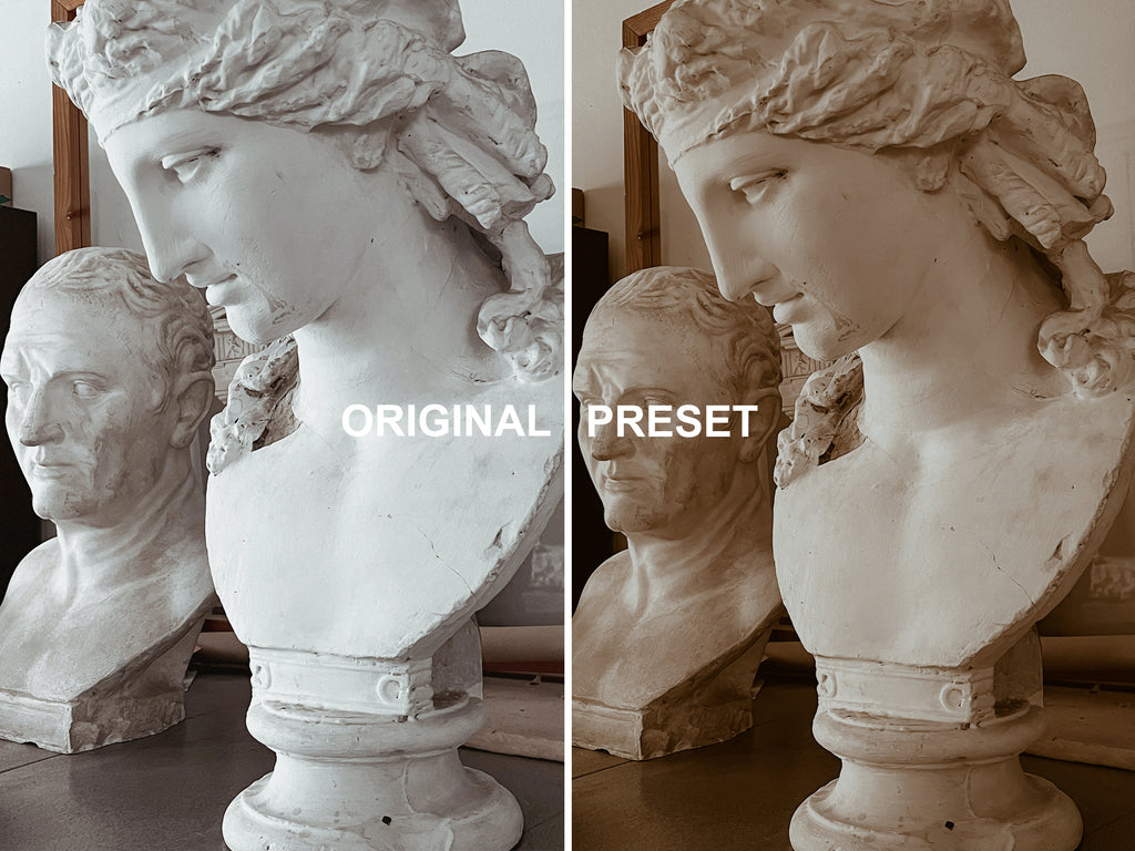 10 DARK ACADEMIA Lightroom Presets