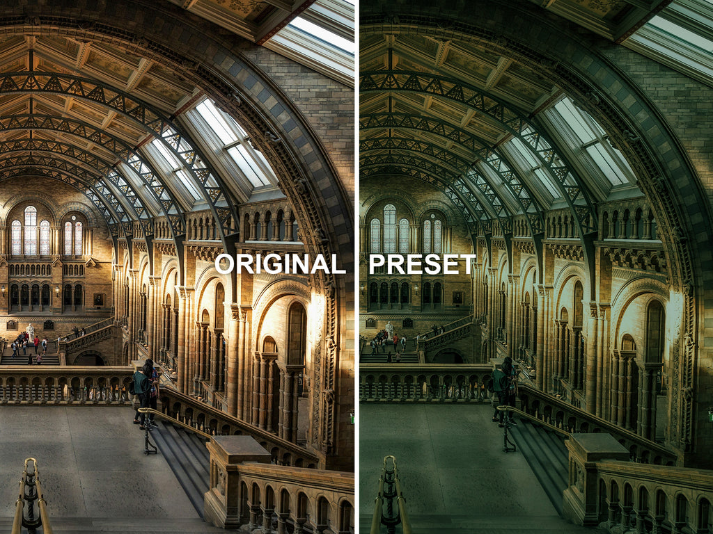 10 MAGIC SCHOOL Lightroom Presets