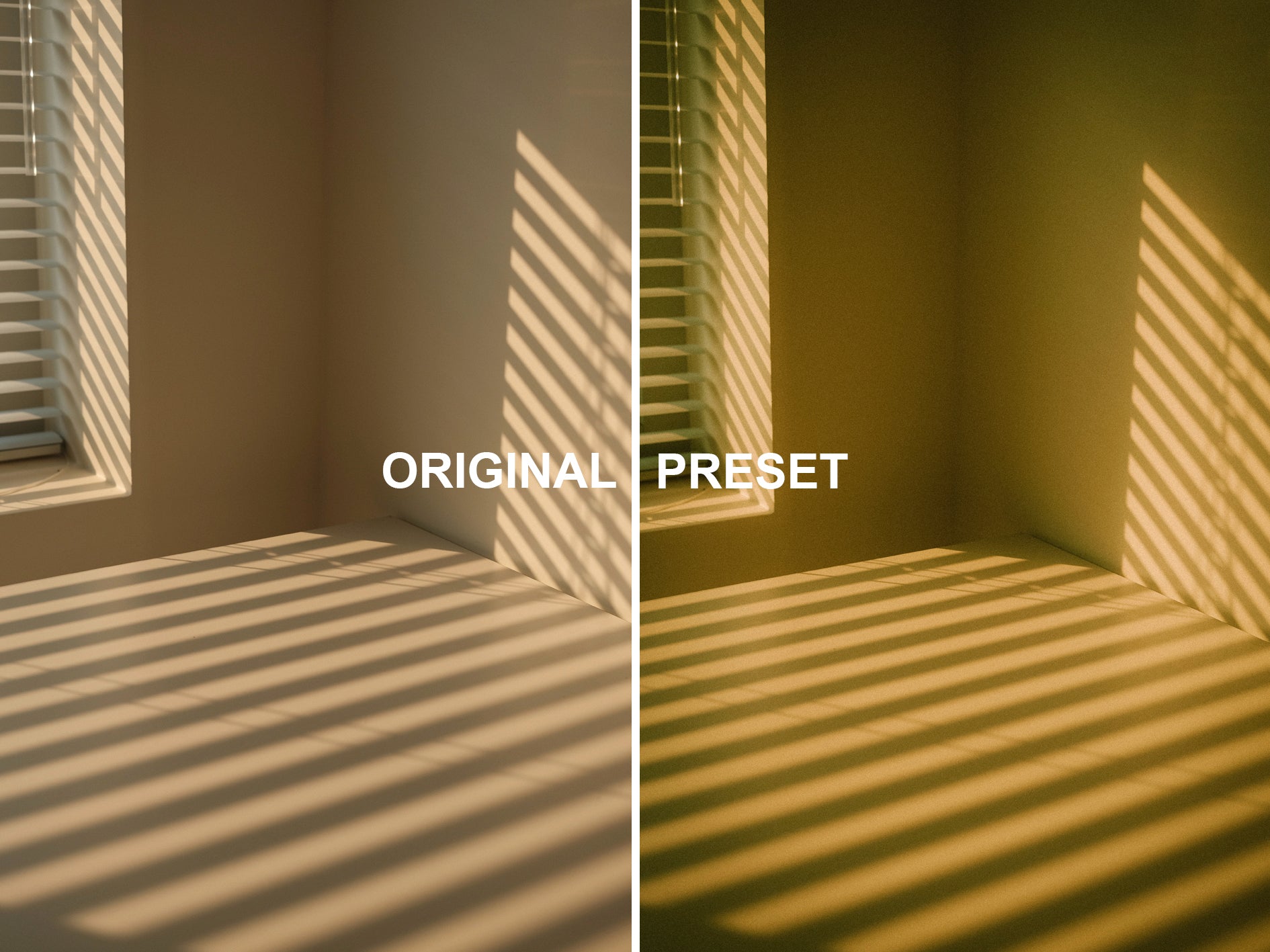 10 KODAK Lightroom Presets