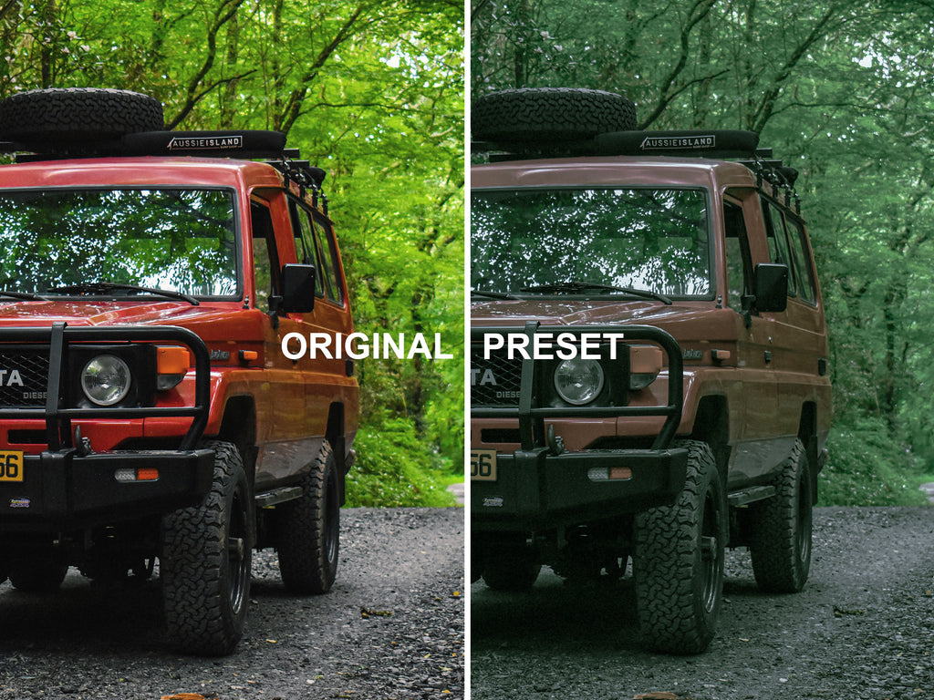 10 TWILIGHT - New Moon Lightroom Presets