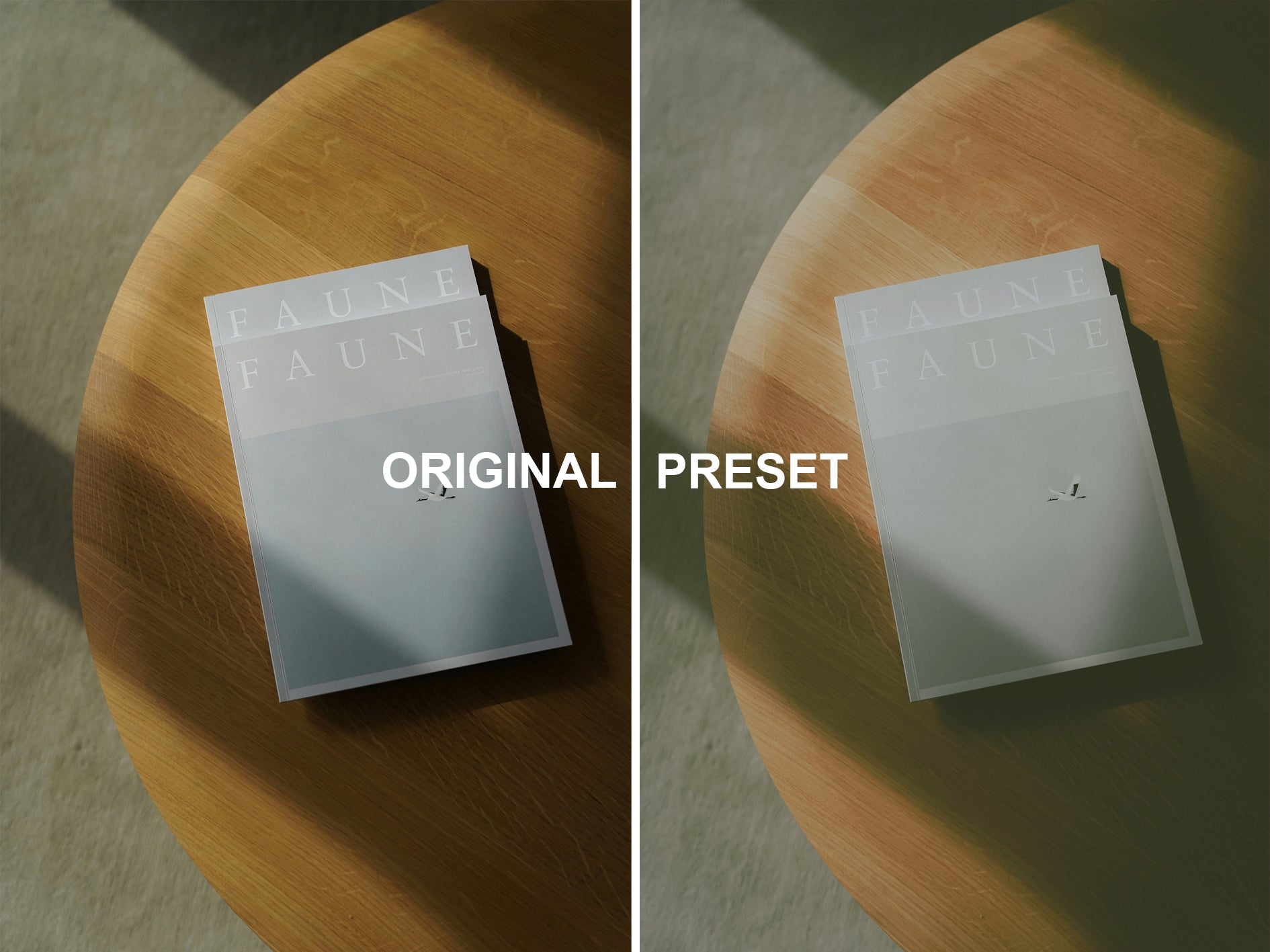 10 CLASSIC Lightroom Presets