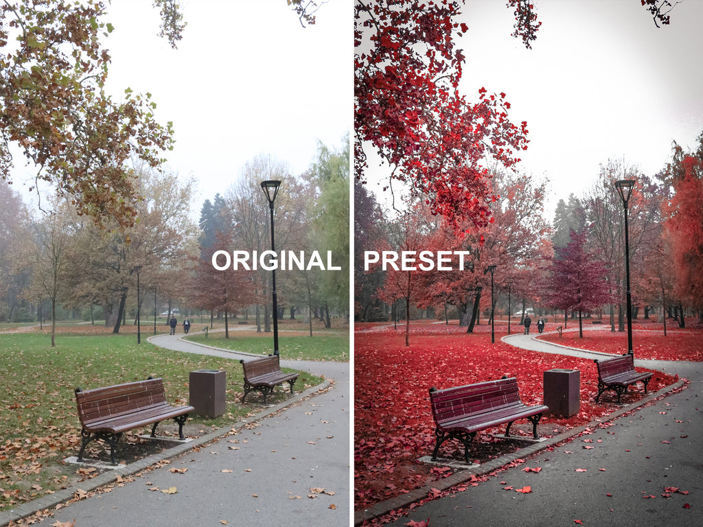 10 INFRARED FILM Lightroom Presets