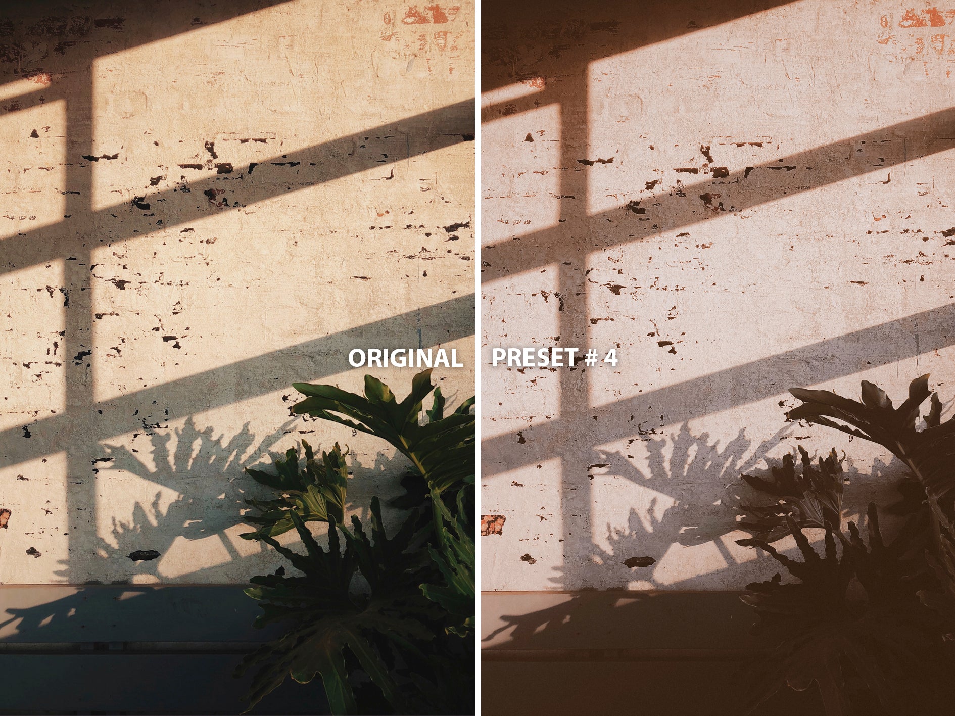 10 ROSE GOLD Lightroom Presets