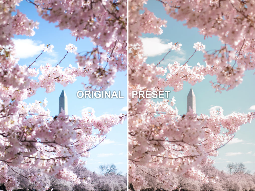 10 BLOSSOM Lightroom Presets