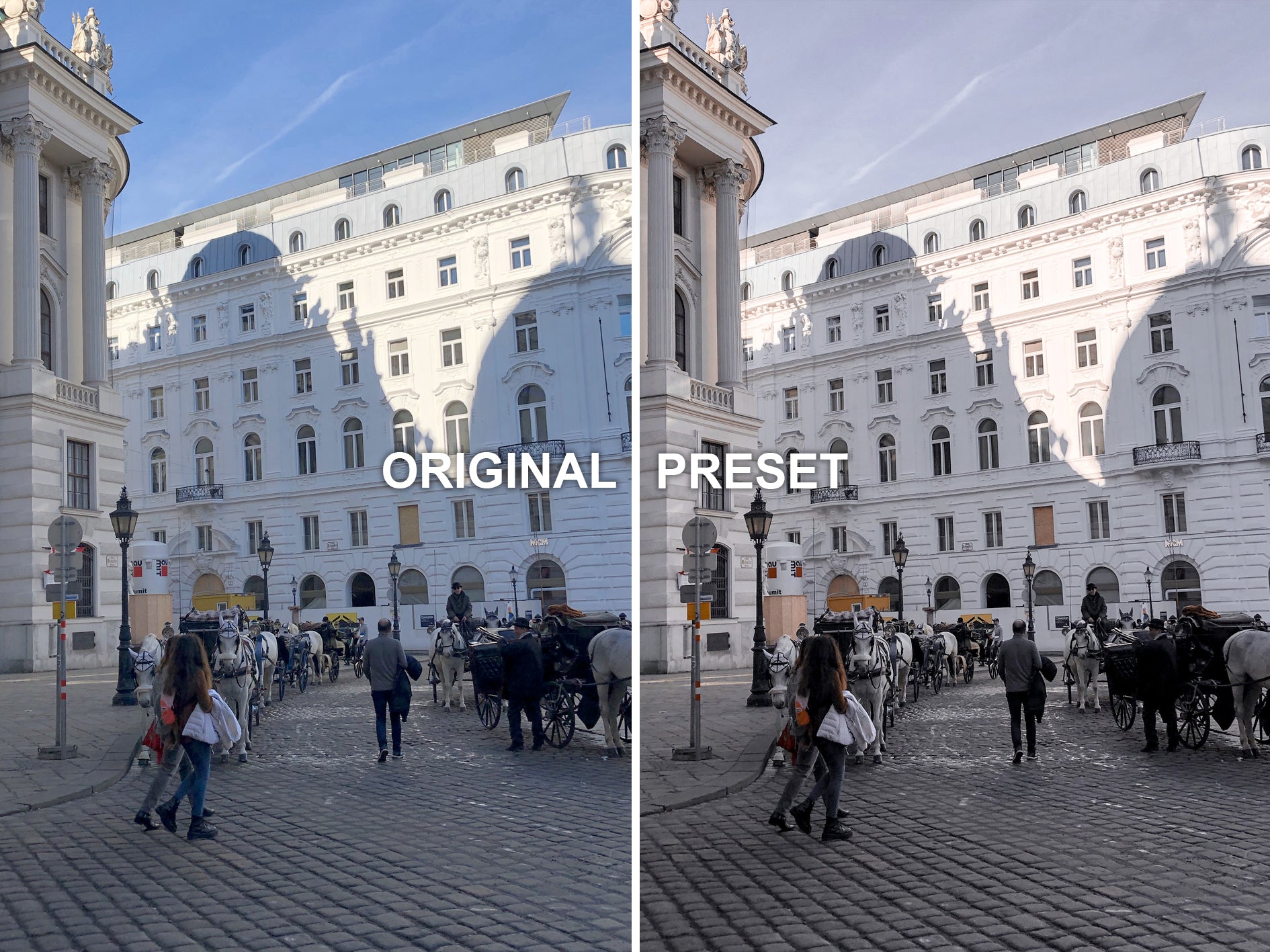10 VIENNA Lightroom Presets