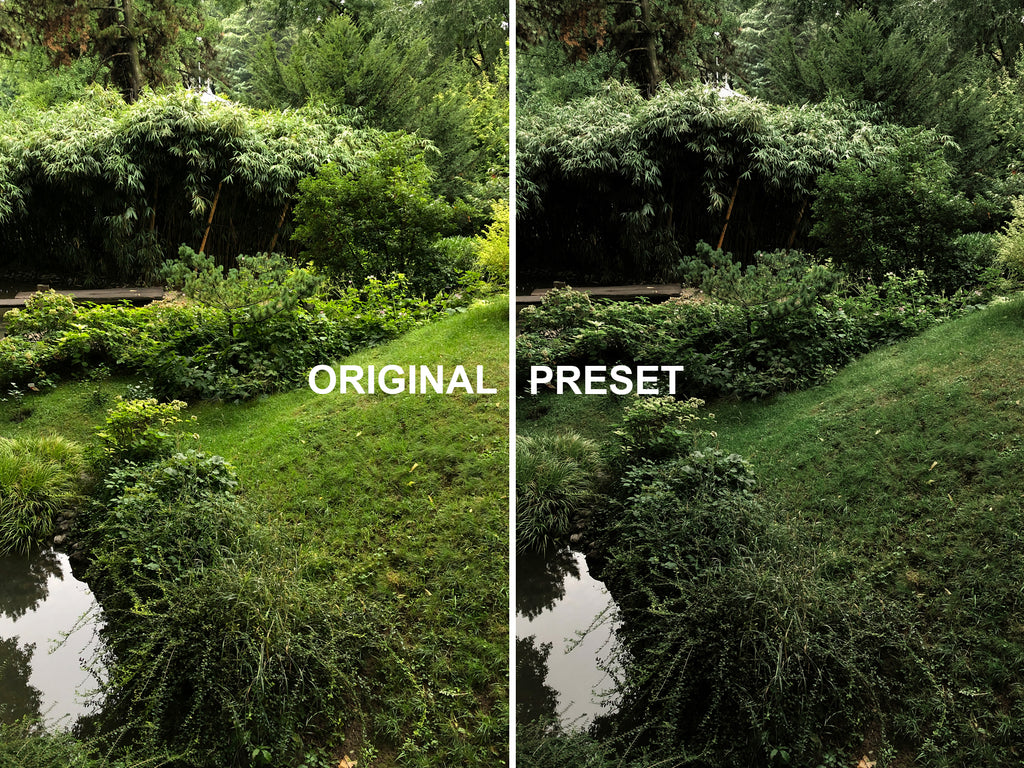 10 DARK GARDEN Lightroom Presets