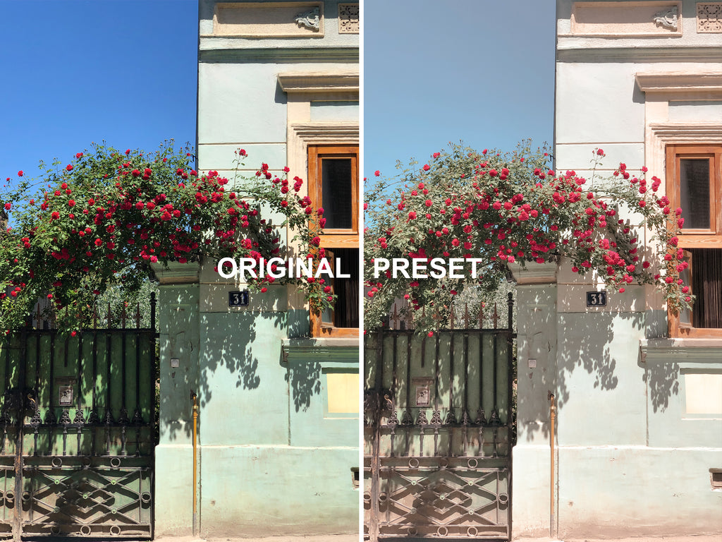 10 SPRING Lightroom Presets