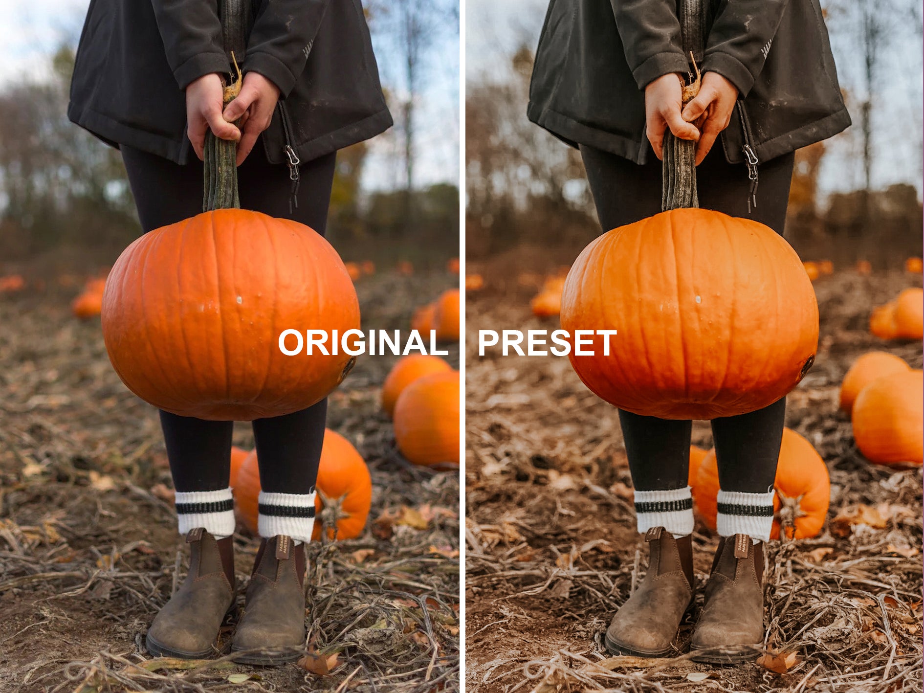 10 HALLOWEEN Lightroom Presets