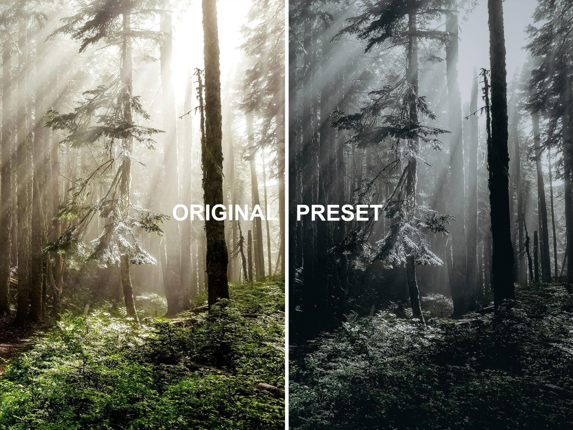 10 ETHEREAL Lightroom Presets