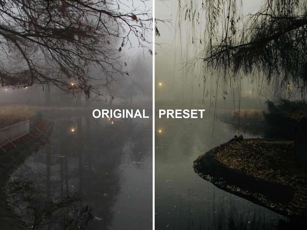 10 FOGHANNA Lightroom Presets