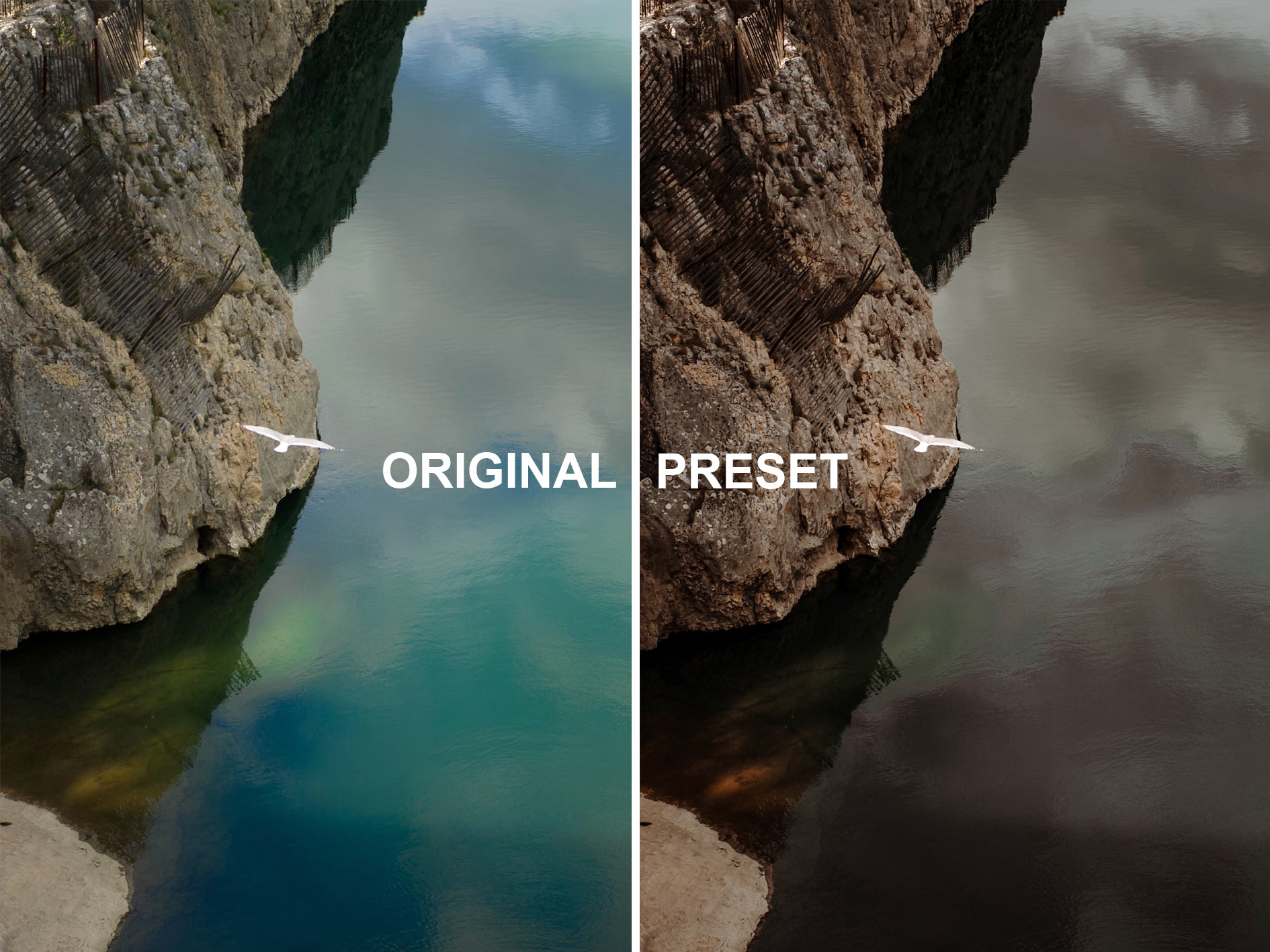 10 EARTHY Lightroom Presets