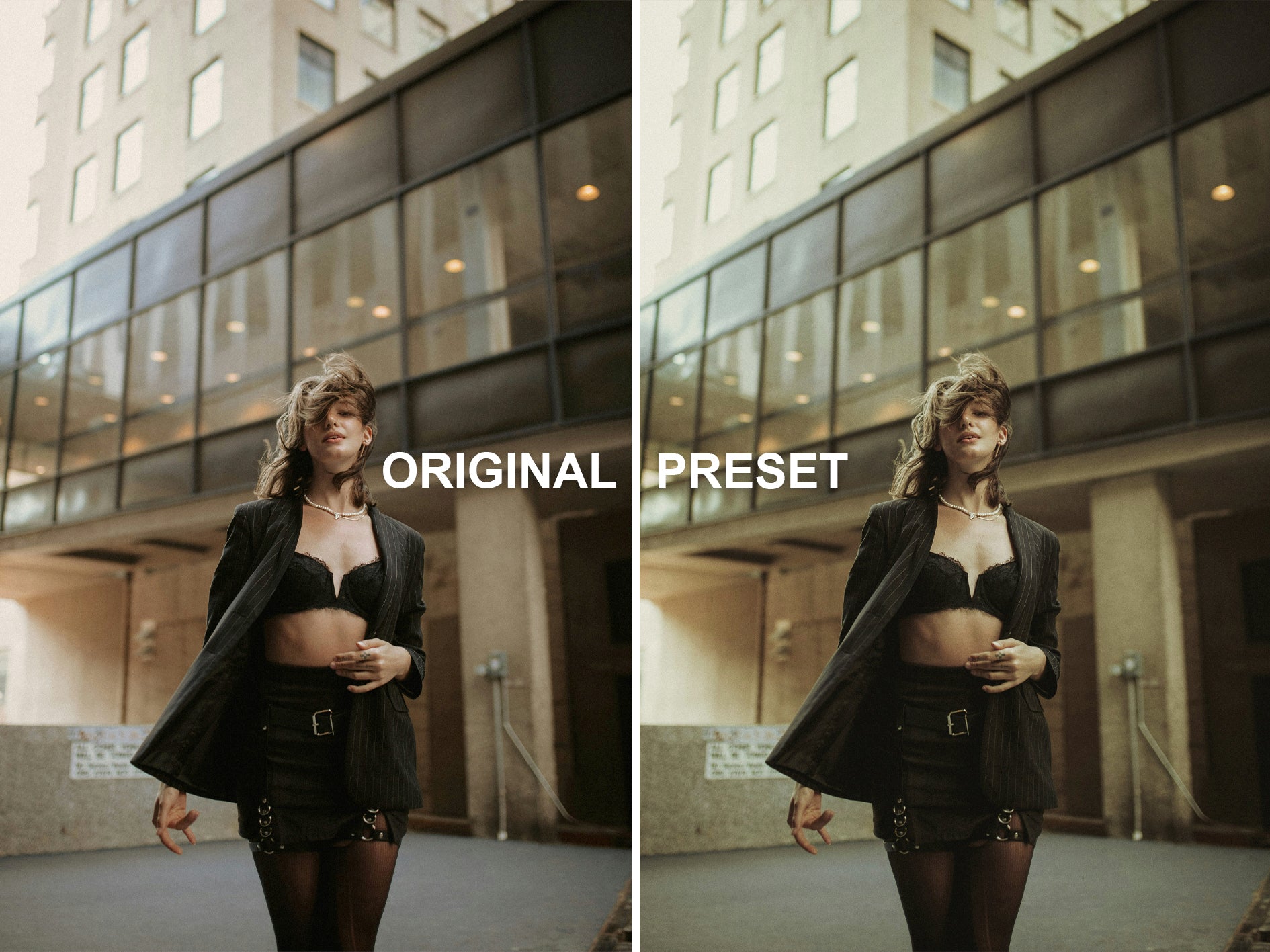 10 SAFARI Lightroom Presets