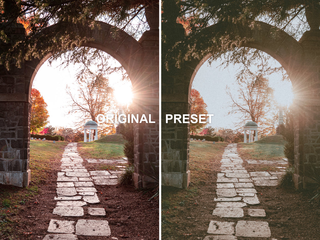 10 ANALOG Lightroom Presets