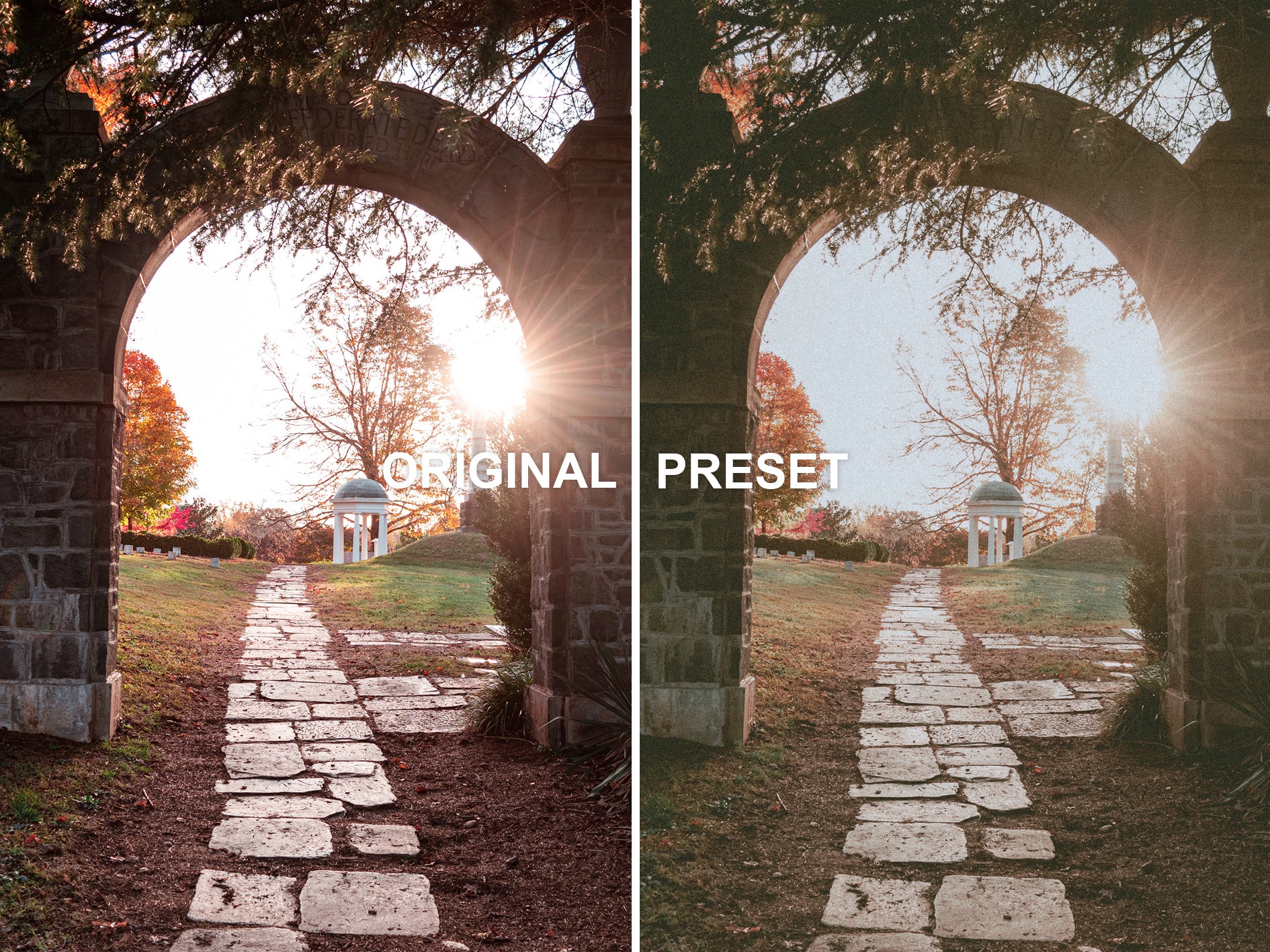10 ANALOG Lightroom Presets