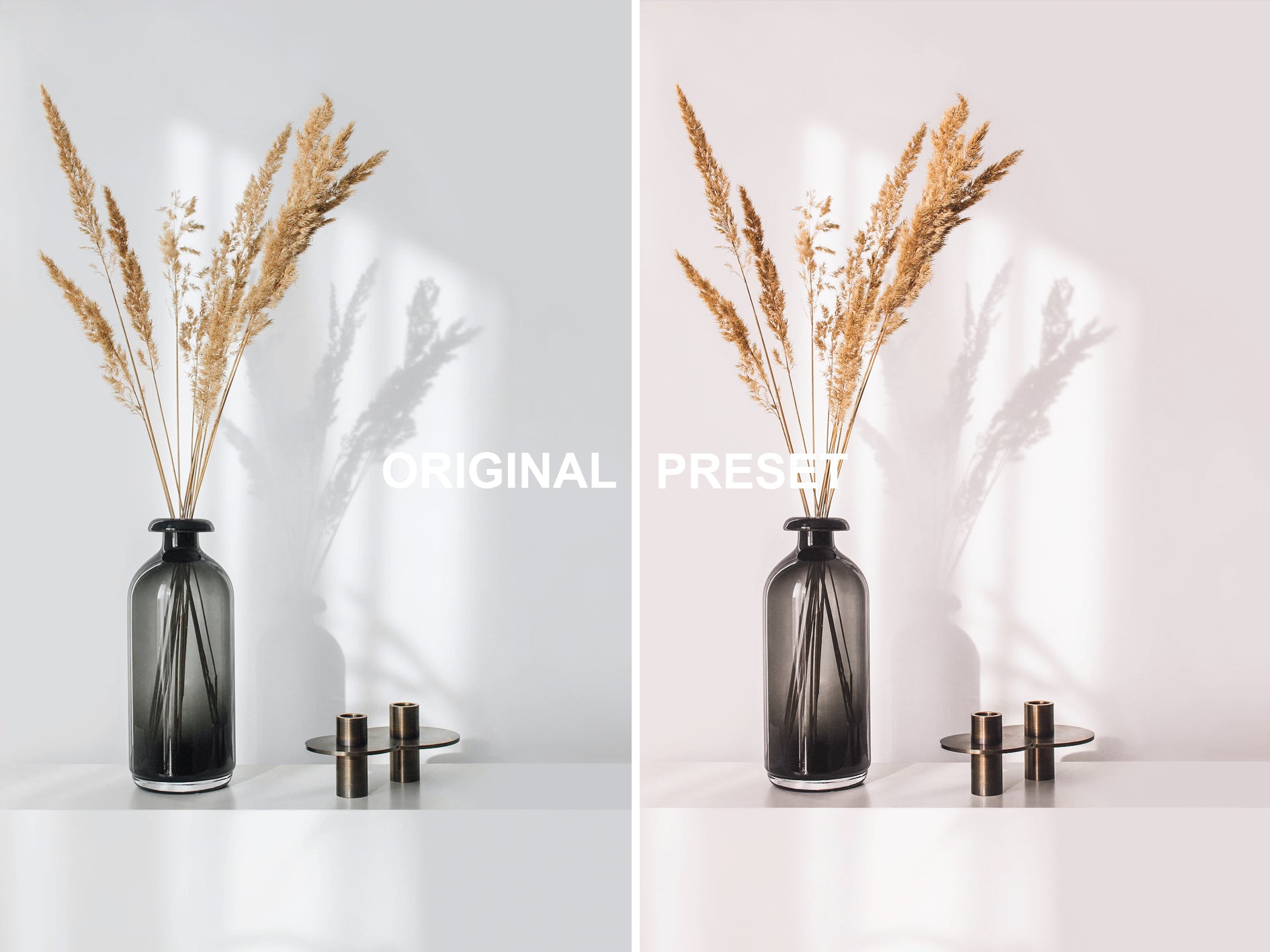 80 PANTONE CREAMY Lightroom Presets