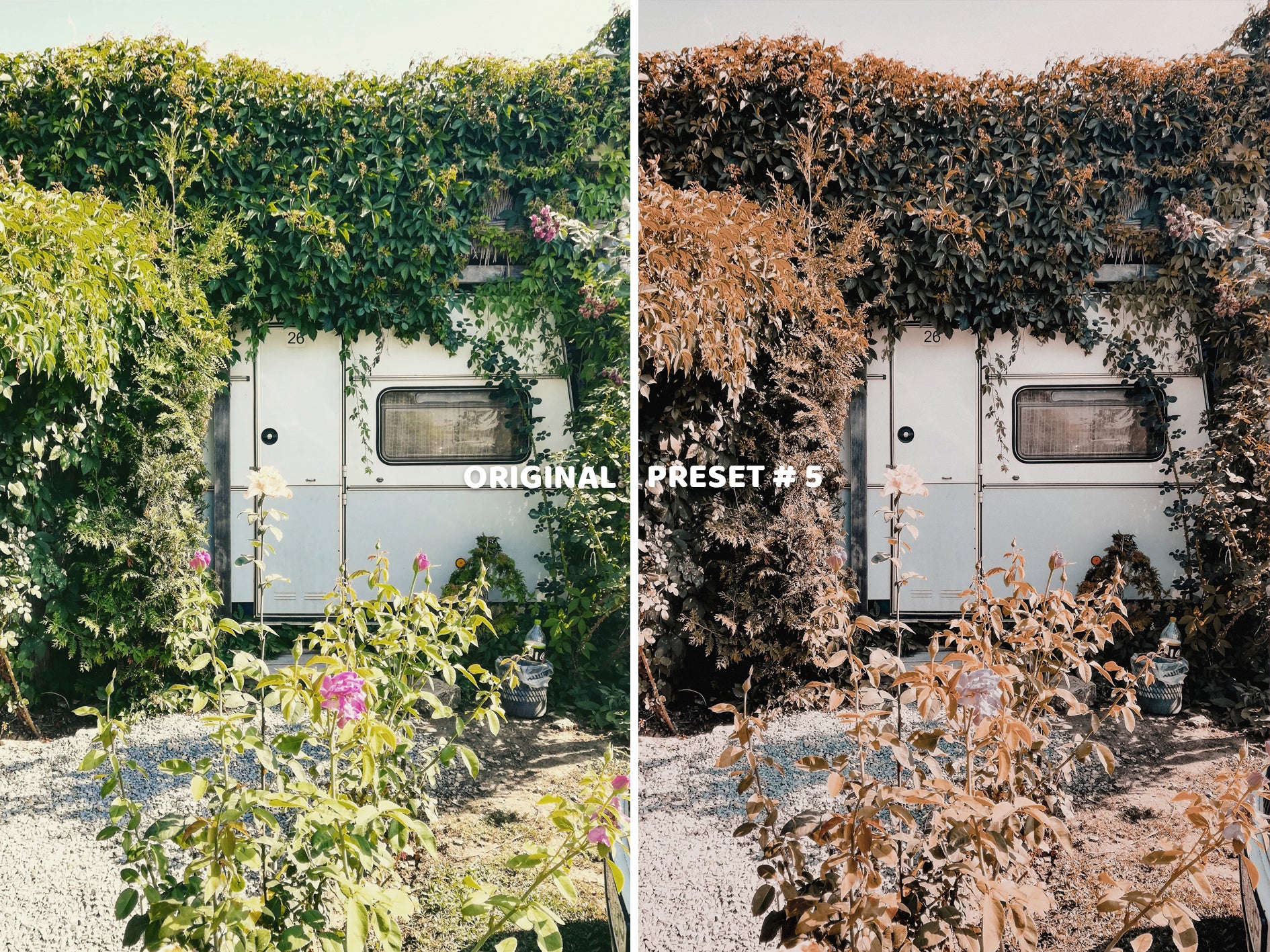 10 VINTAGE Lightroom Presets