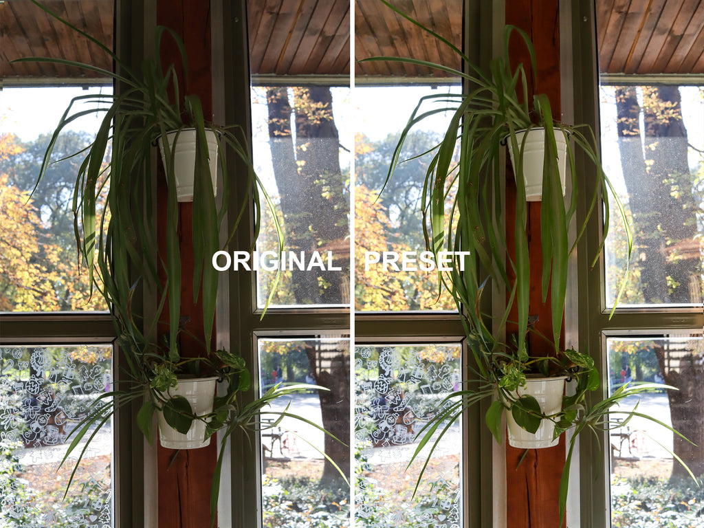 10 Vintage Green Lightroom Presets